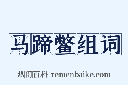 马蹄鳖组词是什么意思的图片